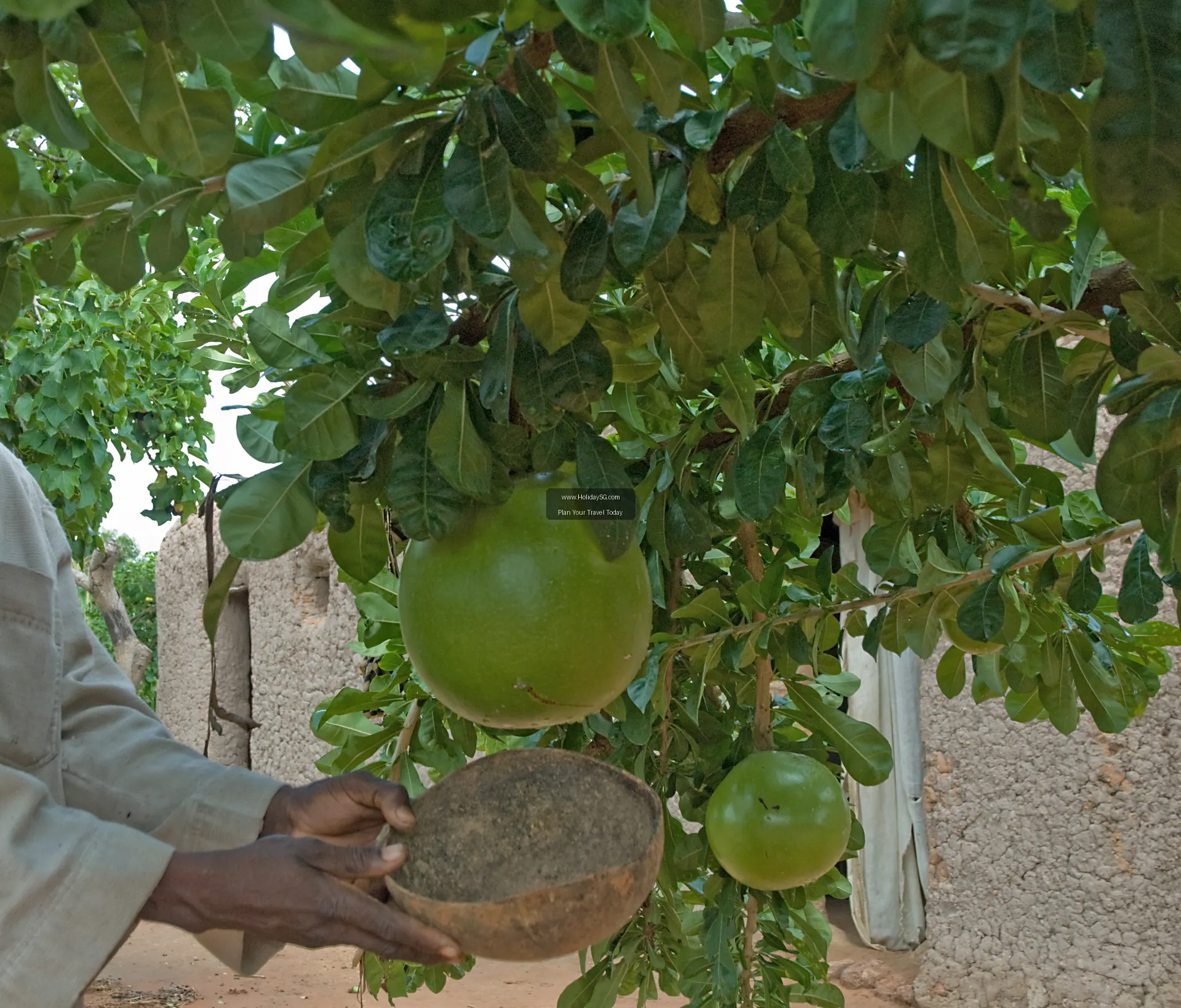 Koutiala Mali 005