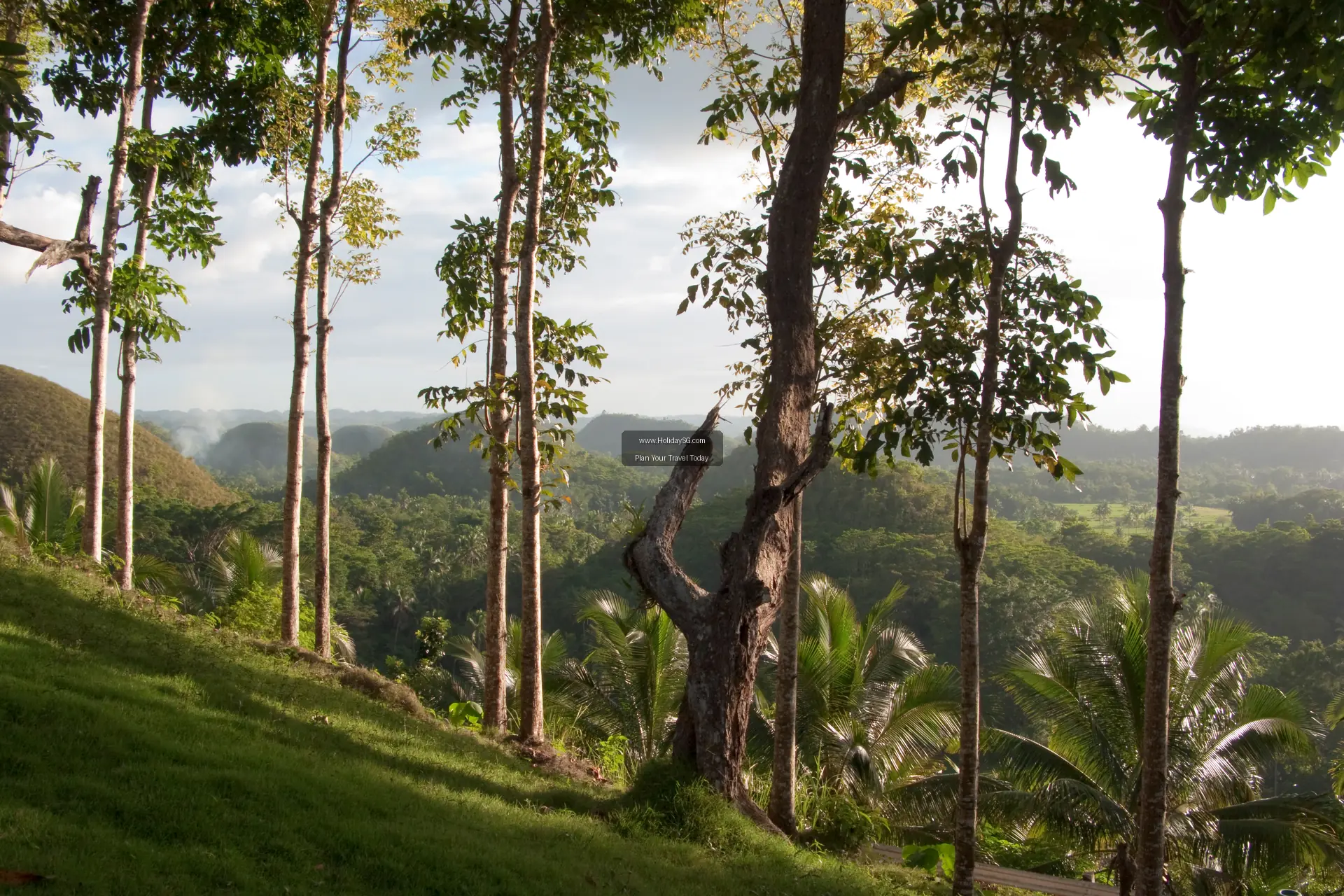 Chocolate Hills - Philippines | HolidaySG