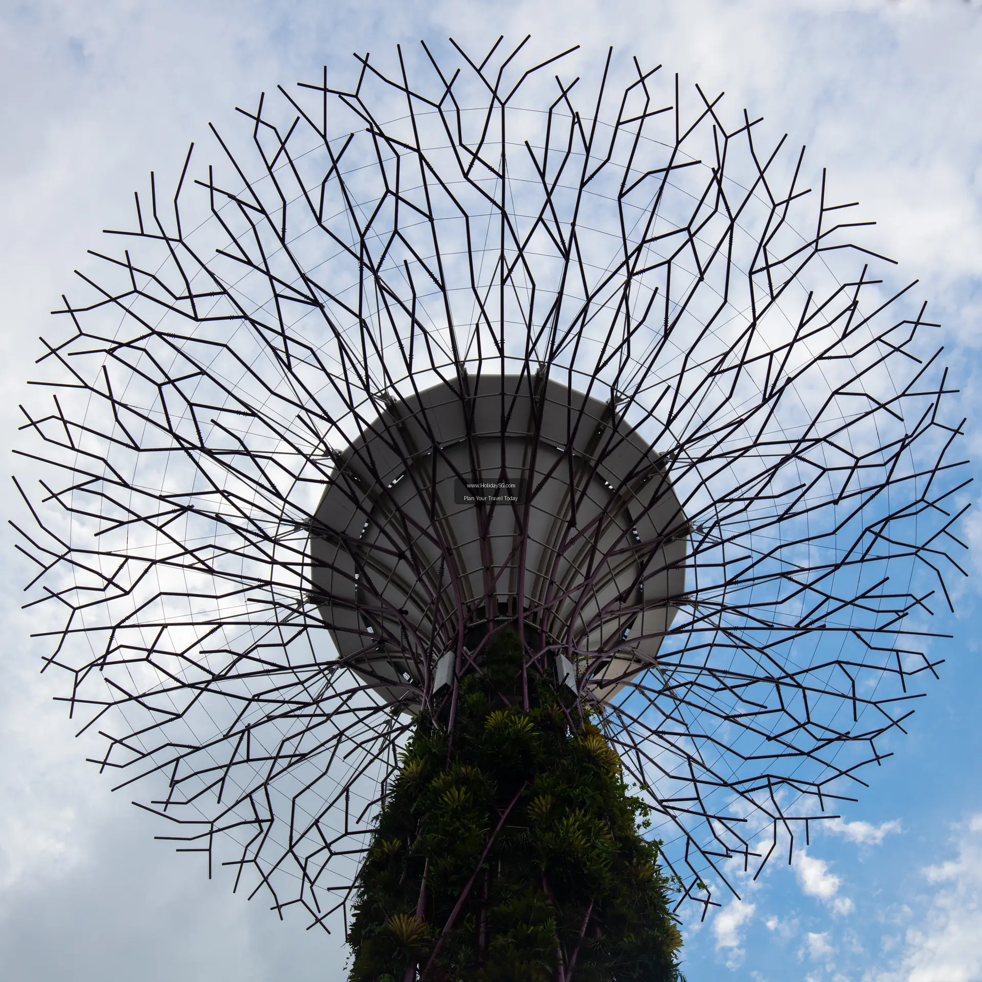 Gardens By The Bay - Singapore | HolidaySG