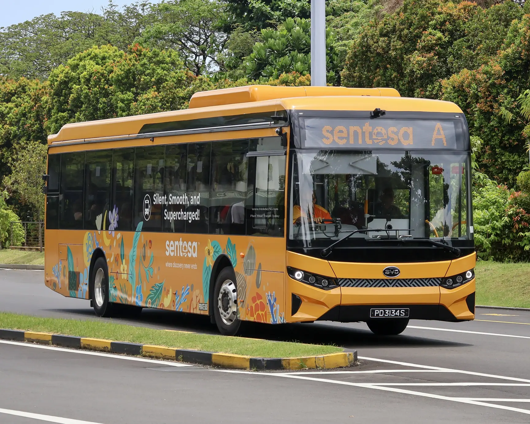 Where to Stay Near Sentosa: Top Accommodation Picks