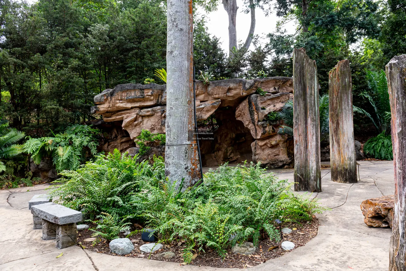 Singapore Botanic Gardens - Singapore | HolidaySG