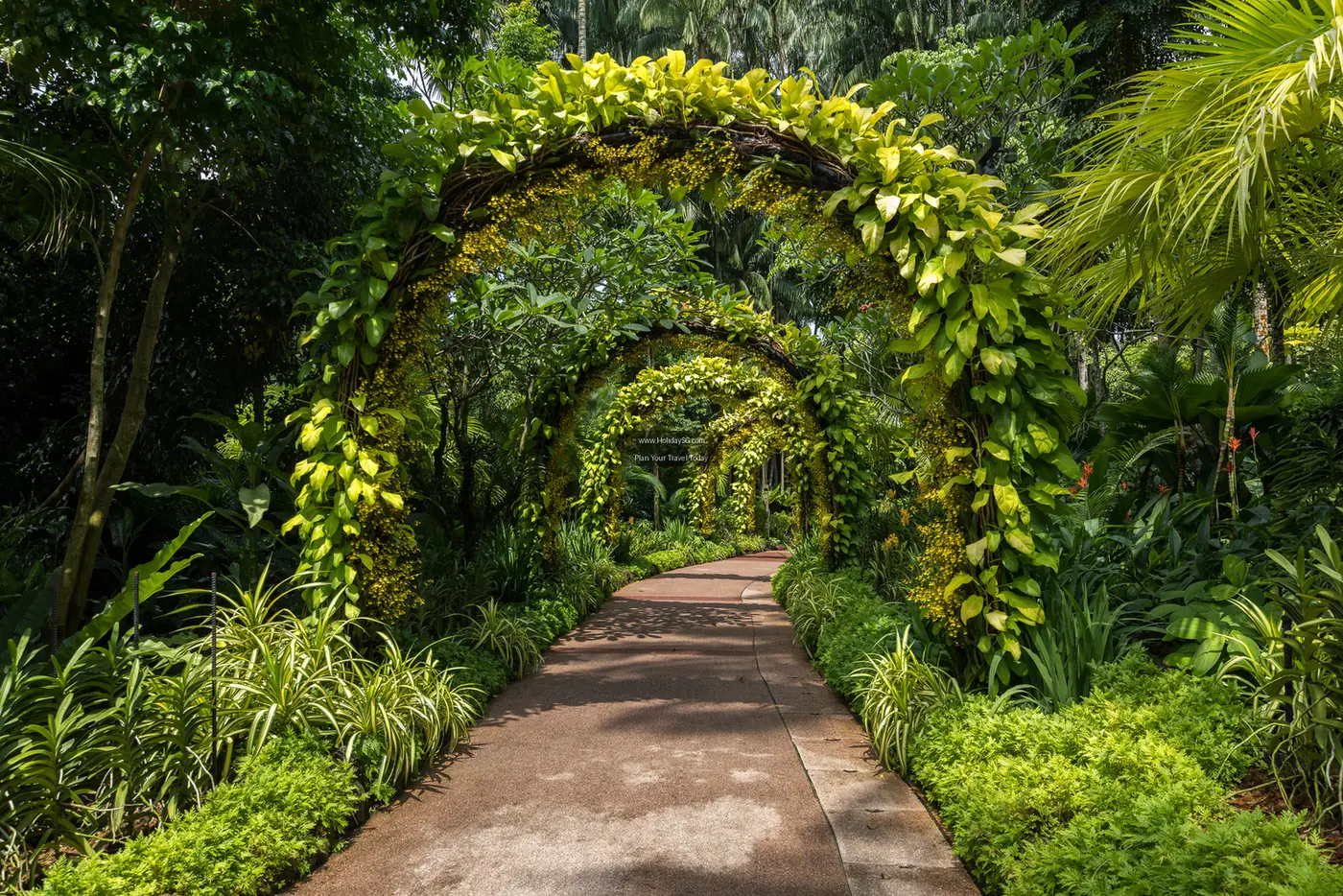 Singapore Botanic Gardens - Singapore | HolidaySG