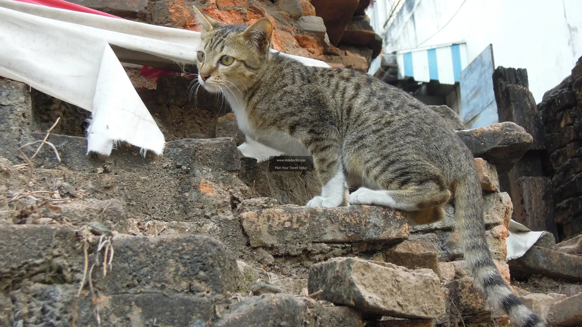 Old City Chiang Mai - Thailand | HolidaySG