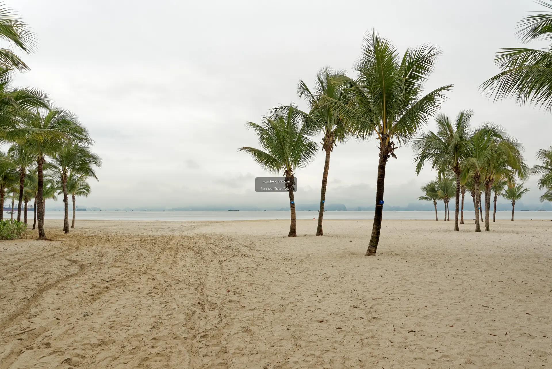 Best Time to Visit Vietnam: Region by Region and Month by Month
