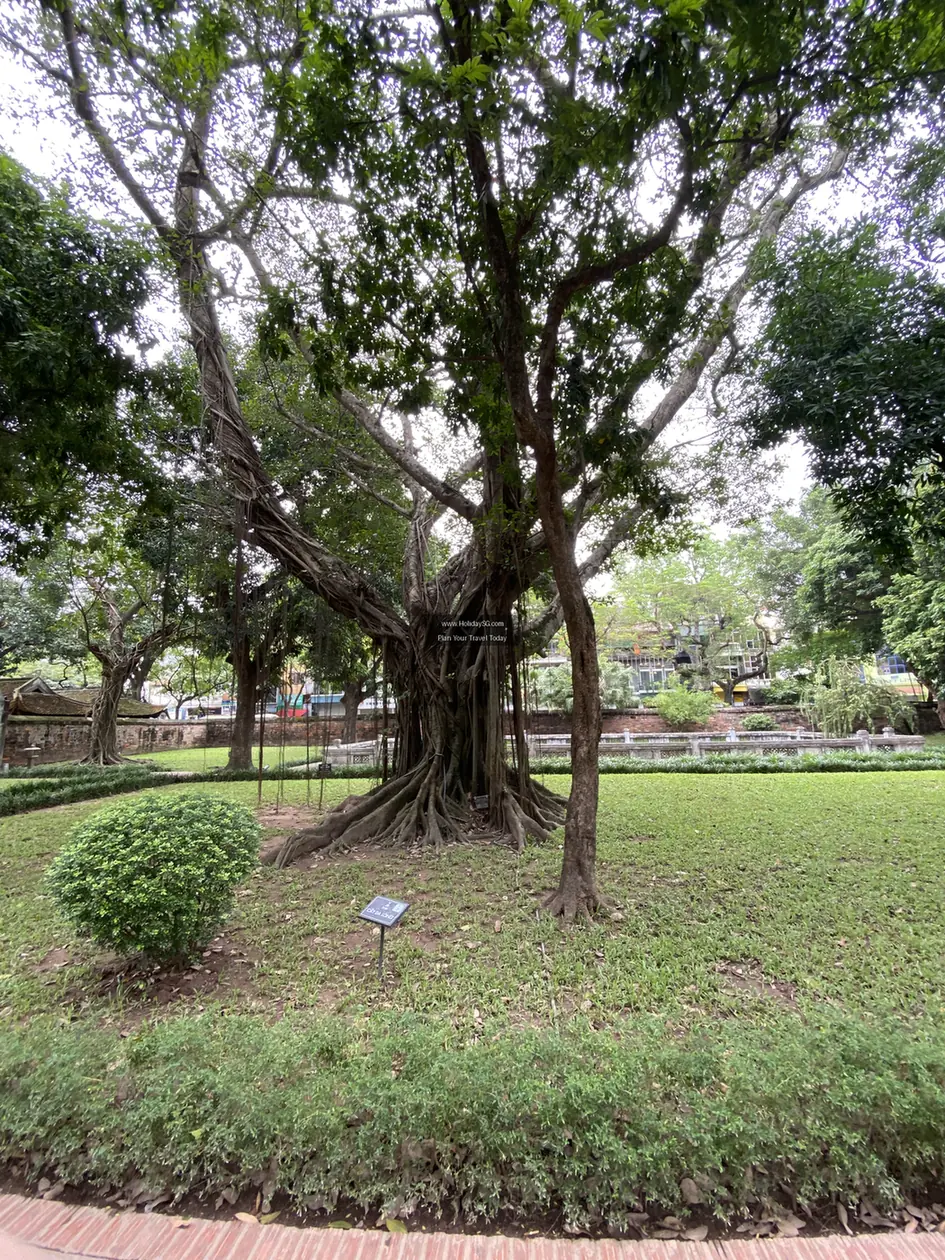 Temple Of Literature - Vietnam | HolidaySG