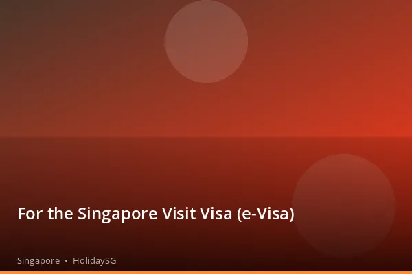 For the Singapore Visit Visa (e-Visa) - Singapore | HolidaySG