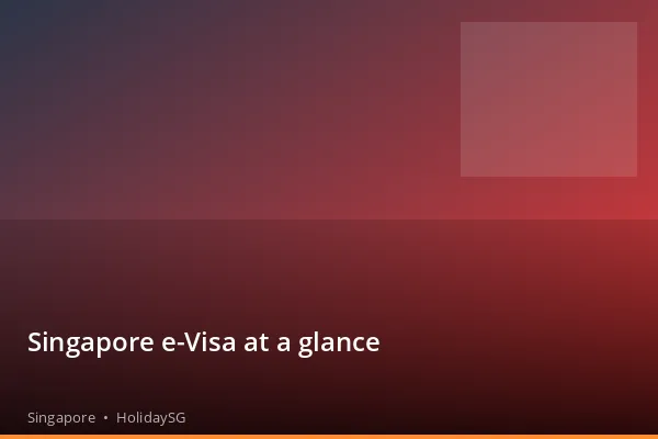 Singapore e-Visa at a glance - Singapore | HolidaySG