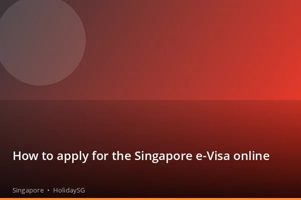 How to apply for the Singapore e-Visa online - Singapore | HolidaySG