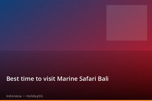 Best time to visit Marine Safari Bali - Indonesia | HolidaySG