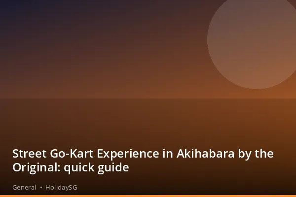 Street Go-Kart Experience in Akihabara by the Original: quick guide - General | HolidaySG