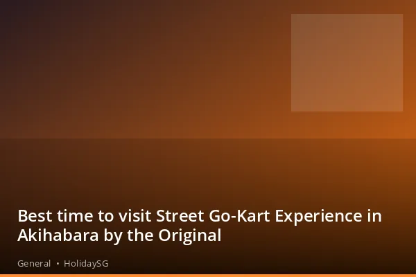 Best time to visit Street Go-Kart Experience in Akihabara by the Original - General | HolidaySG