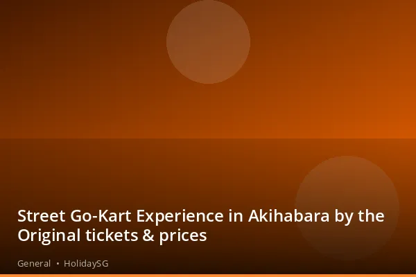Street Go-Kart Experience in Akihabara by the Original tickets &amp; prices - General | HolidaySG