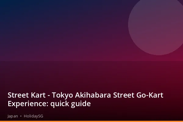 Street Kart - Tokyo Akihabara Street Go-Kart Experience: quick guide - Japan | HolidaySG