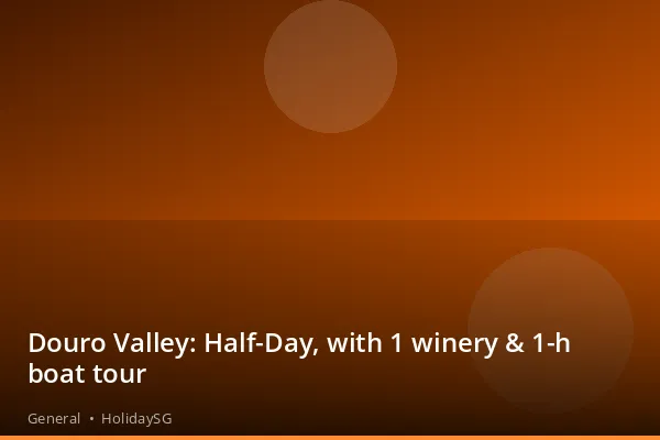 Douro Valley: Half-Day, with 1 winery &amp; 1-h boat tour - General | HolidaySG