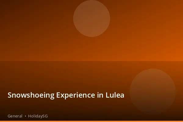 Snowshoeing Experience in Lulea - General | HolidaySG