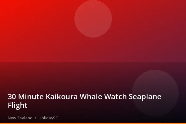 30 Minute Kaikoura Whale Watch Seaplane Flight - New Zealand | HolidaySG