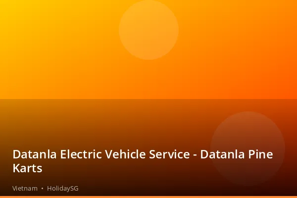 Datanla Electric Vehicle Service - Datanla Pine Karts - Vietnam | HolidaySG