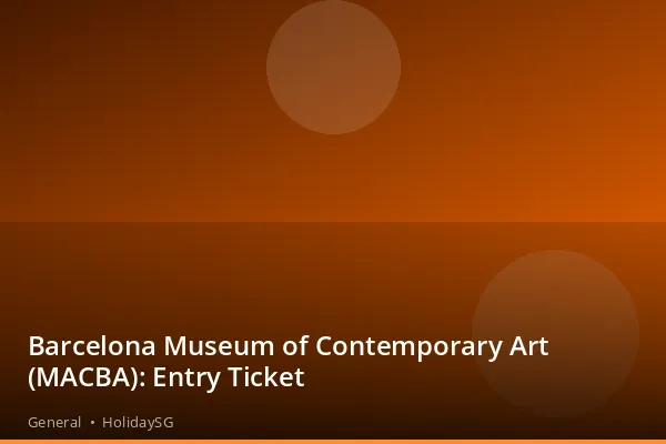 Barcelona Museum of Contemporary Art (MACBA): Entry Ticket - General | HolidaySG