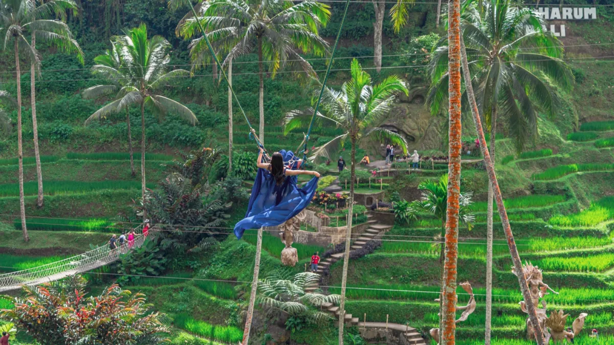 Tegallalang Rice Terrace Guide