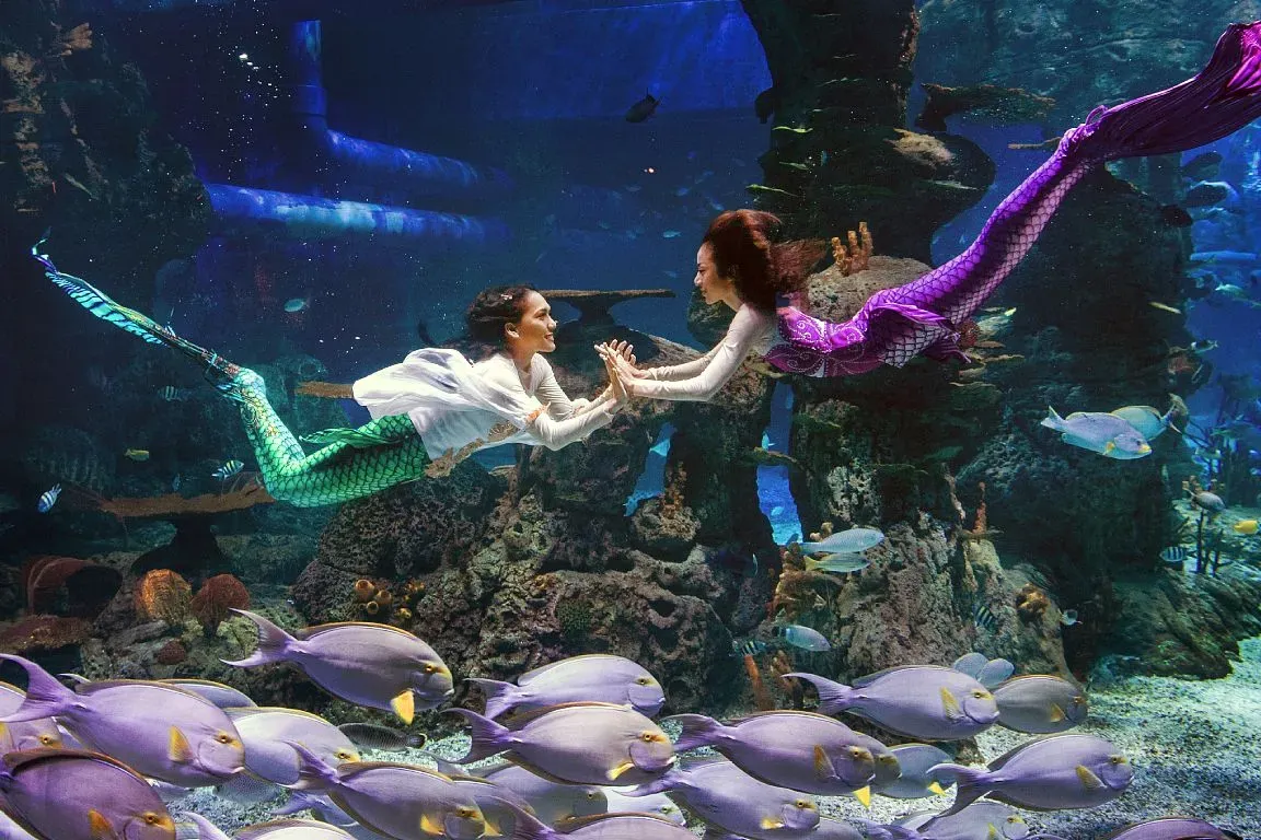 Jakarta Aquarium Guide