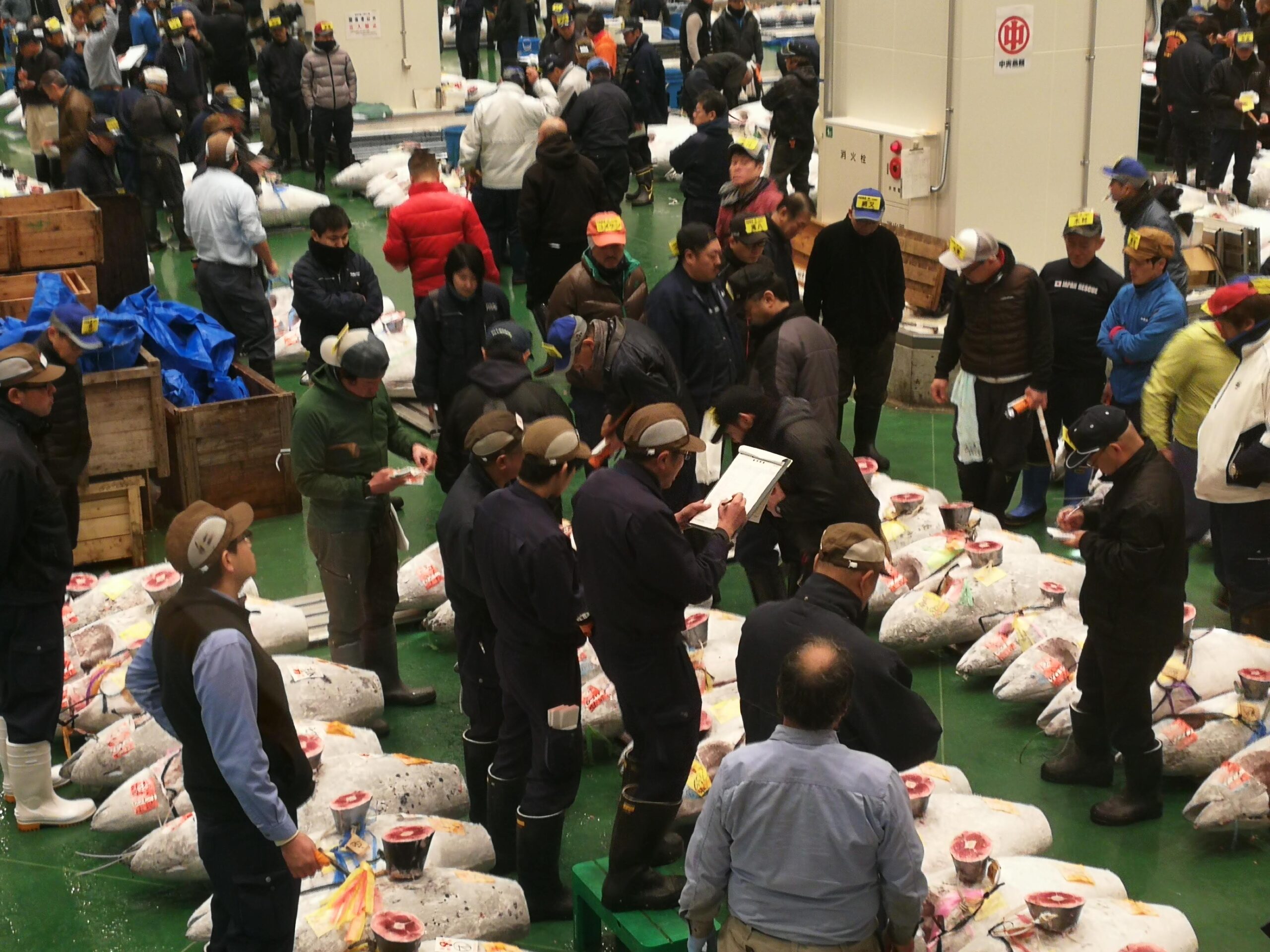 Tokyo in 5 Days: A Complete First-Timer’s Itinerary