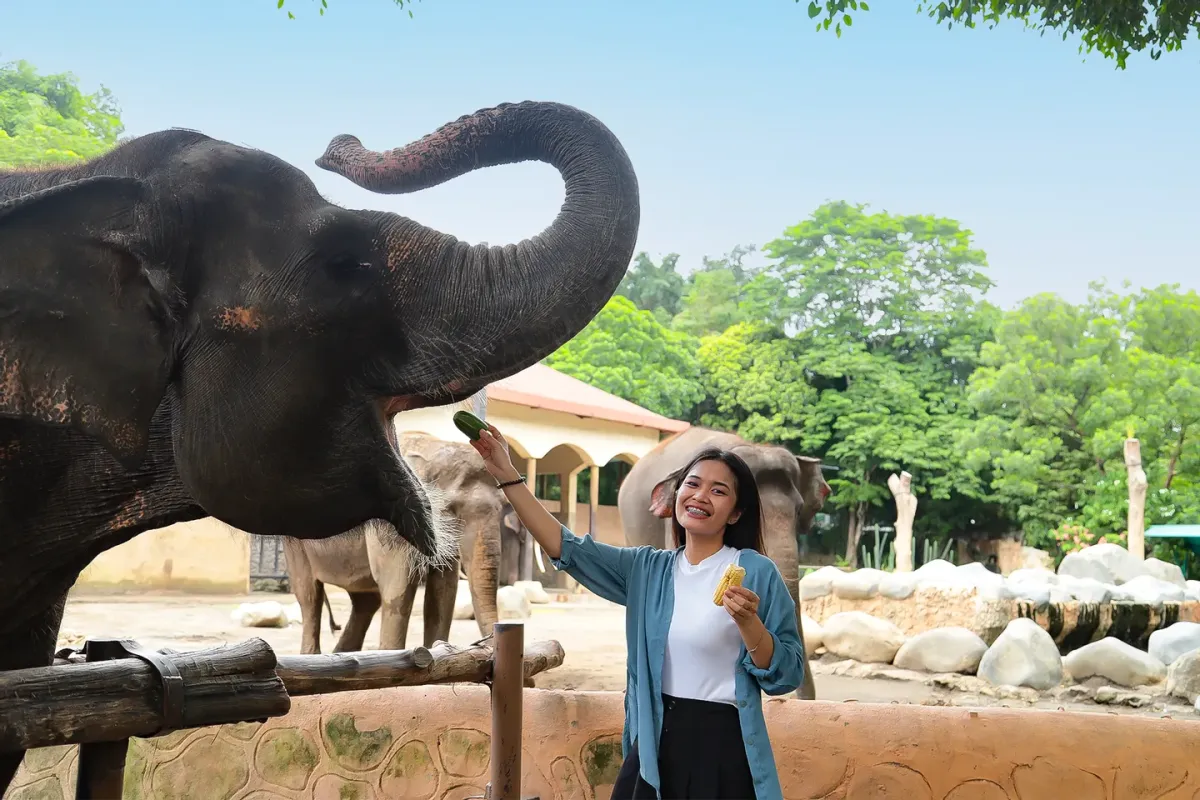 Bali Zoo Guide