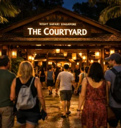 Singapore Itinerary for Solo Travellers