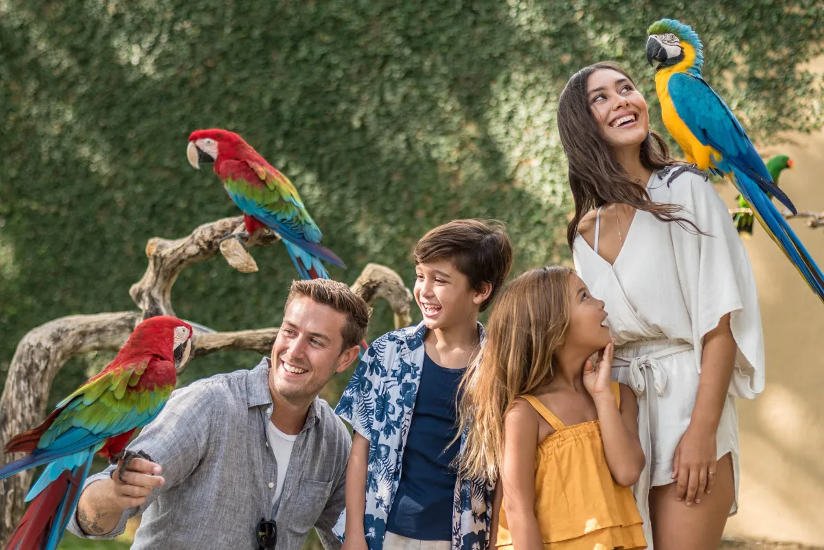 Bali Bird Park Guide