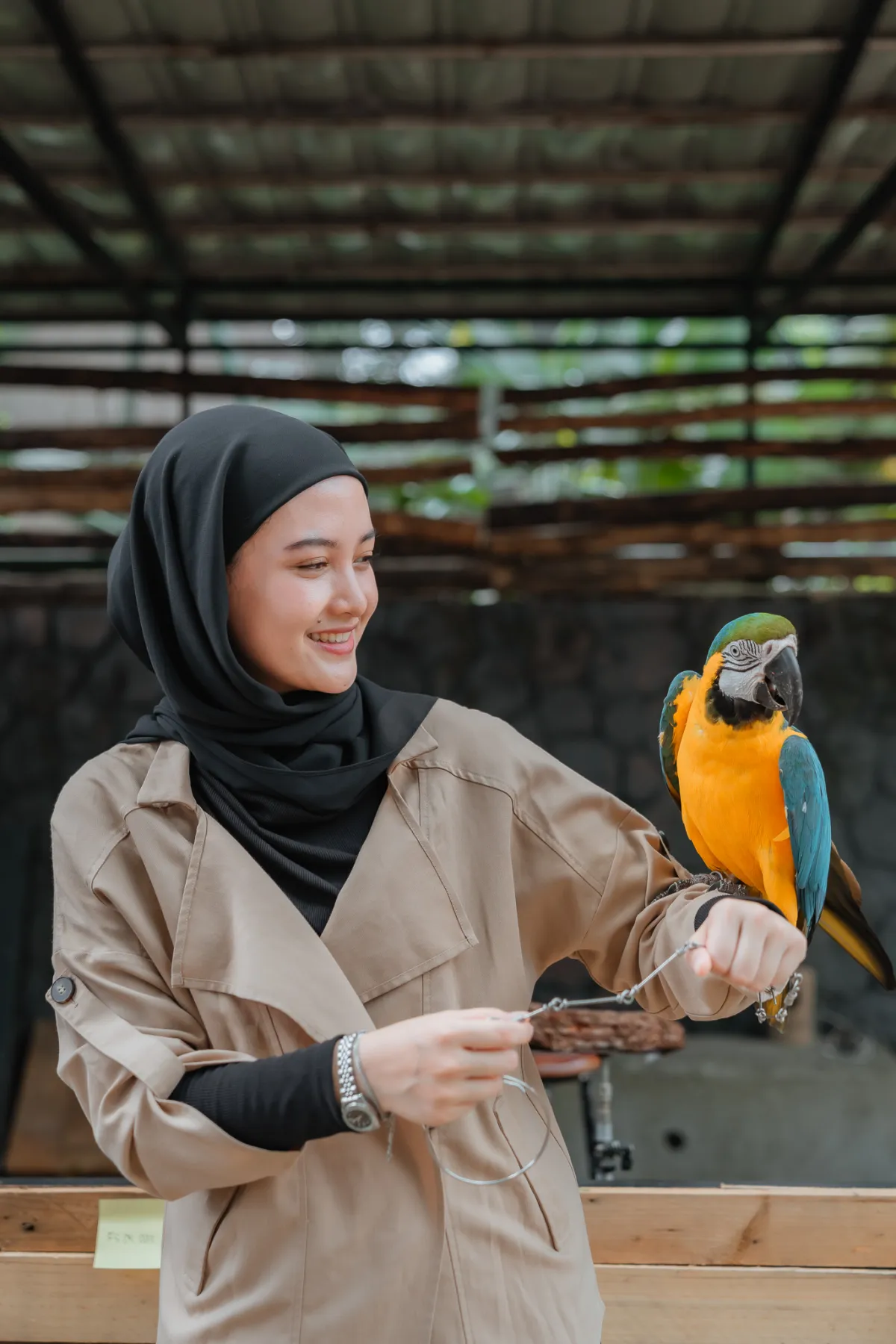 Nusa Lembongan Guide
