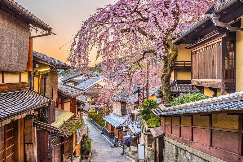 Japan travel  guide