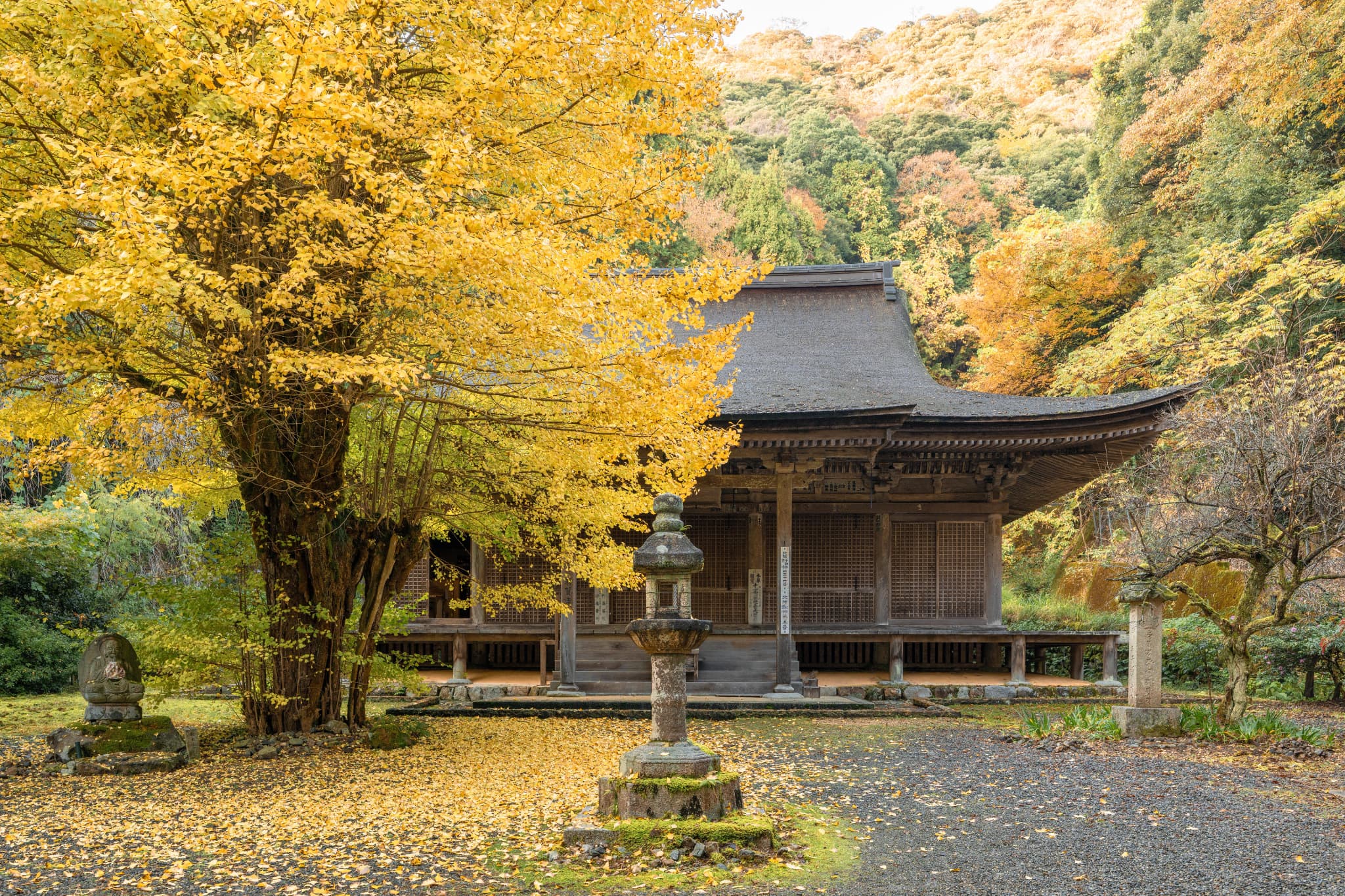 Japan seasonal travel guide