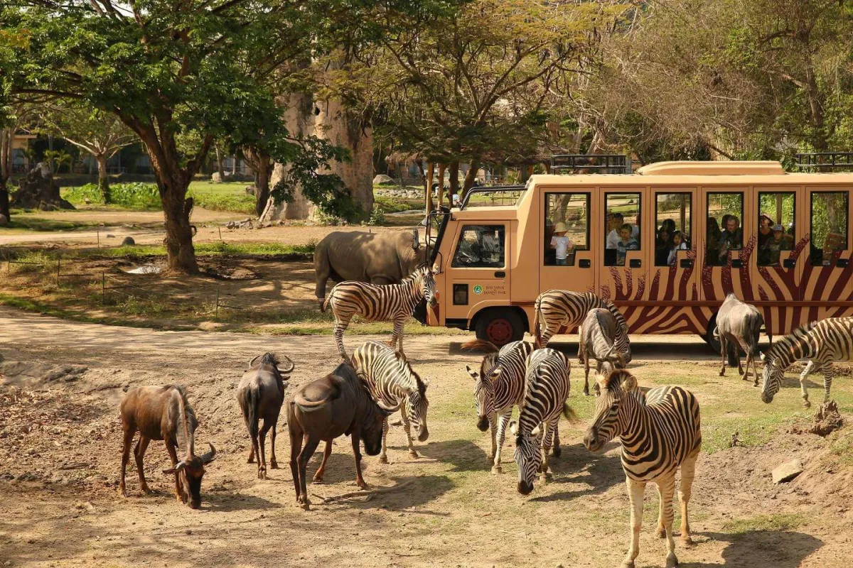 Ultimate Bali Safari & Marine Park Guide 2026
